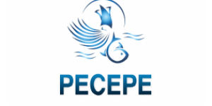 Logo pecepe